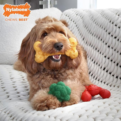 Nylabone Power Chew Toy Bundle, Cute Dog Toys - Image 2
