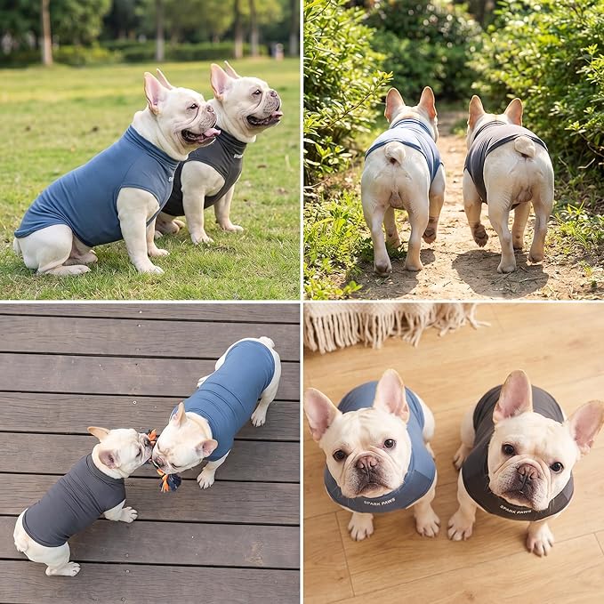 Spark Paws Sunblock Dog T-Shirt, SPF30 Protection, Lightweight Breathable Quick - Image 6