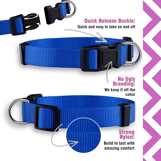 Native Pup Basic Nylon Dog Collar, Adjustable - Image 4