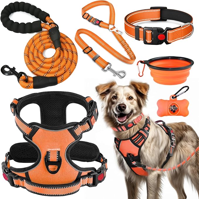 LOBEVE No Pull Dog Harness, Collar & Leash Set | Includes Dog Seat Belt by Lovebegetslove
