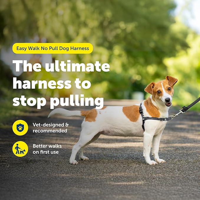 PetSafe Easy Walk No-Pull Dog Harness - Image 2