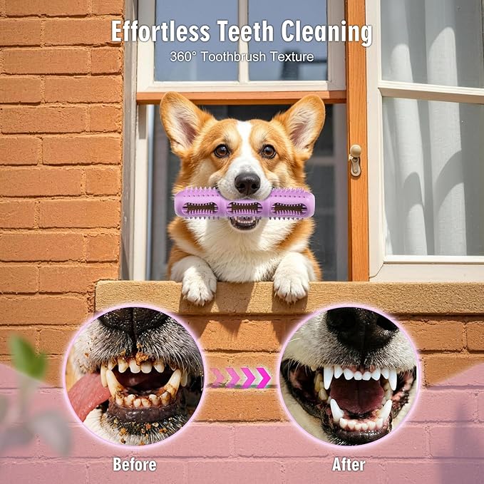 Dog Chew Toys, Dog Toothbrush Toy - Image 3