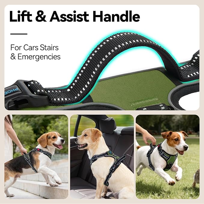 PHOEPET No Pull Dog Harness - Image 5