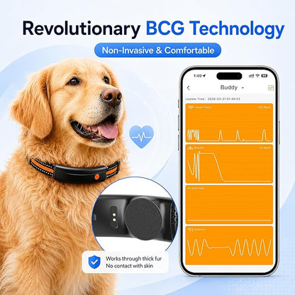 4G LTE GPS Pet Tracker & Virtual Fence, Real-Time Location, Heart Rate & - Image 5