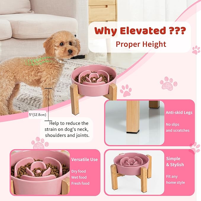 Elevated Slow Feeder Dog Bowl - Image 4