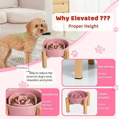 Elevated Slow Feeder Dog Bowl - Image 4