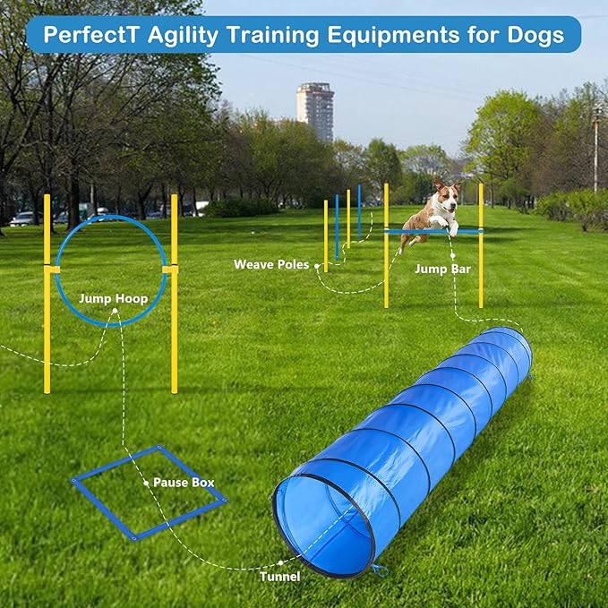 Dog Agility Course Backyard Set - Image 2