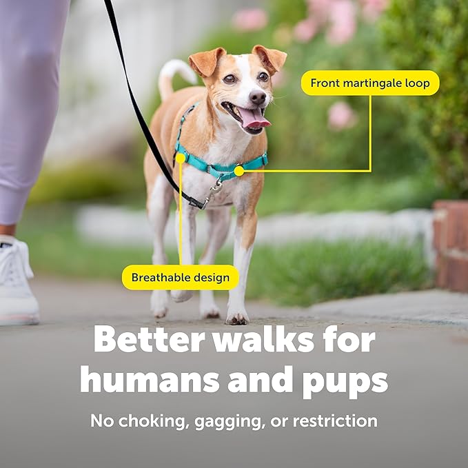 PetSafe Easy Walk No-Pull Dog Harness - Image 4