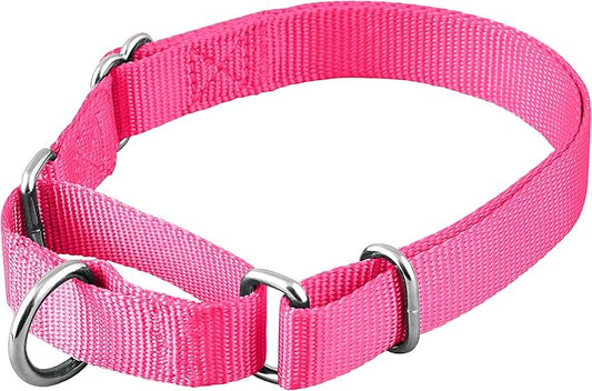 Native Pup Martingale Dog Collar, Adjustable by NativePup