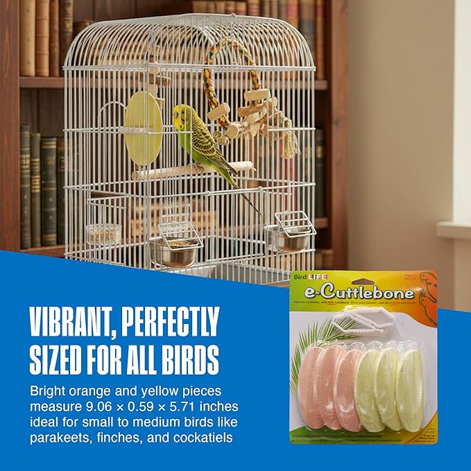 Penn-Plax Bird-Life E-Cuttlebone Flavored, 1 Pk - Image 6