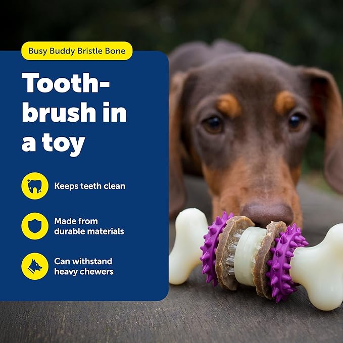 PetSafe Busy Buddy Bristle Bone Dog Chew Toy - Image 2