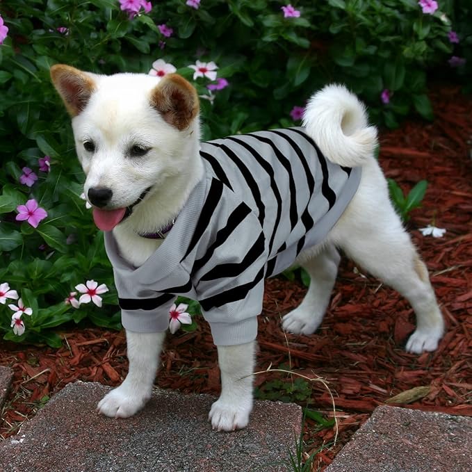 Pet Dog Striped T-Shirt Dogs Cats Cotton Vest Spring Summer Pet Apparel Tee - Image 6