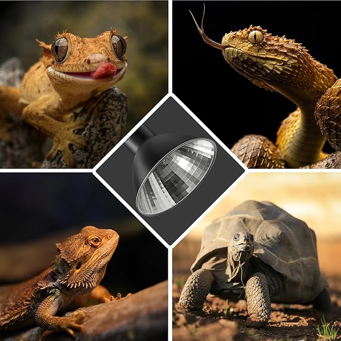Briignite Reptile Heat Lamp 50W G9 Halogen Heat Bulb & Dome Reptile Light - Image 7