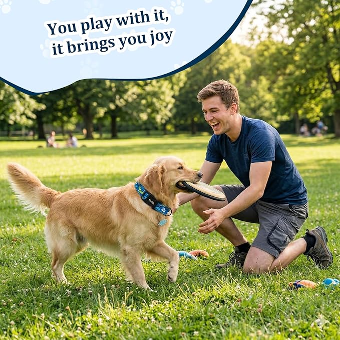 Dinosaur Dog Collar, Cute Boy Dog Collars - Image 5