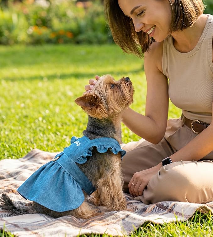 Denim Cat Dog Dress Clothes for Small Dogs - Image 5