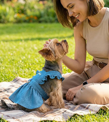 Denim Cat Dog Dress Clothes for Small Dogs - Image 5