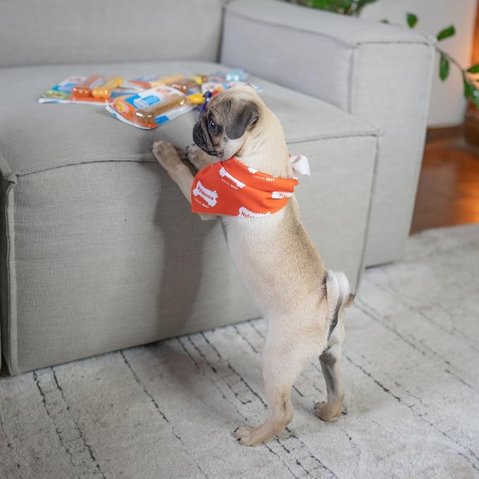Nylabone New Puppy Power Chew Stages, Soothing Puppy Teething Toys, Chew Bones - Image 2