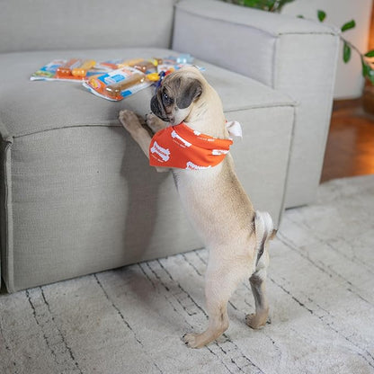 Nylabone New Puppy Power Chew Stages, Soothing Puppy Teething Toys, Chew Bones - Image 2