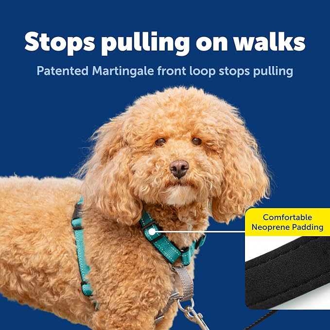 PetSafe 3 in 1 No-Pull Dog Harness - Image 4