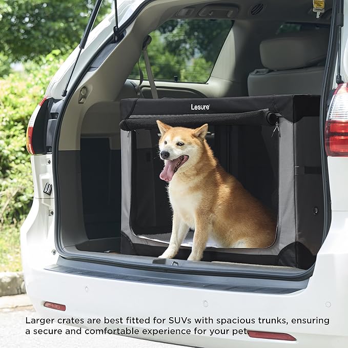 Lesure Shown on TODAY Show Soft Collapsible Dog Crate - Image 6