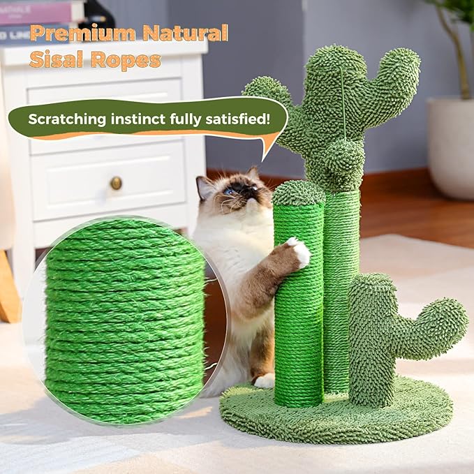 PAWZ Road Cat Scratching Post Cactus Cat Scratcher Featuring - Image 5