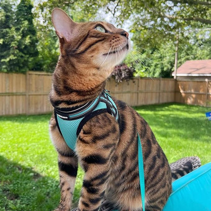 rabbitgoo Cat Harness and Leash, Step-in Escape Proof Kitten Harness Set - Image 9