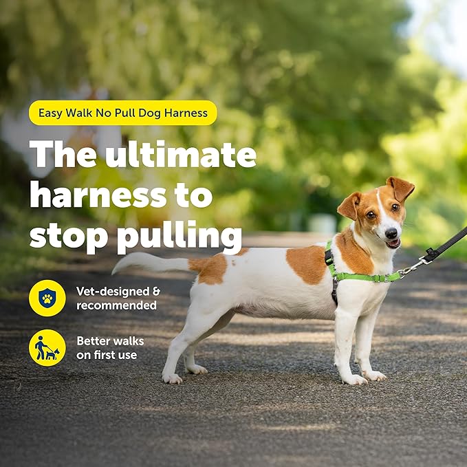 PetSafe Easy Walk No-Pull Dog Harness - Image 2