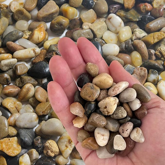 Small Rocks for Plants，3/8" Small Pebbles，1lbs Small River Rocks Decorative Pea by OUPENG