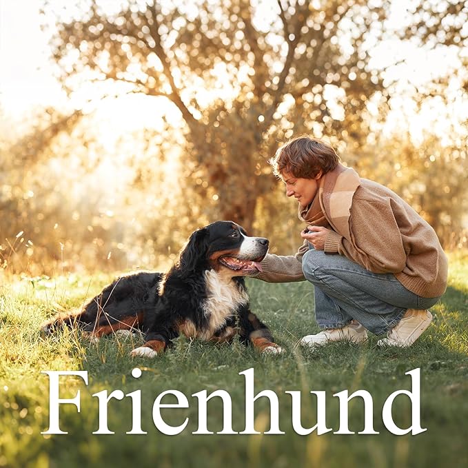 Frienhund 6 Pack Indestructible Dog Toys - Image 3