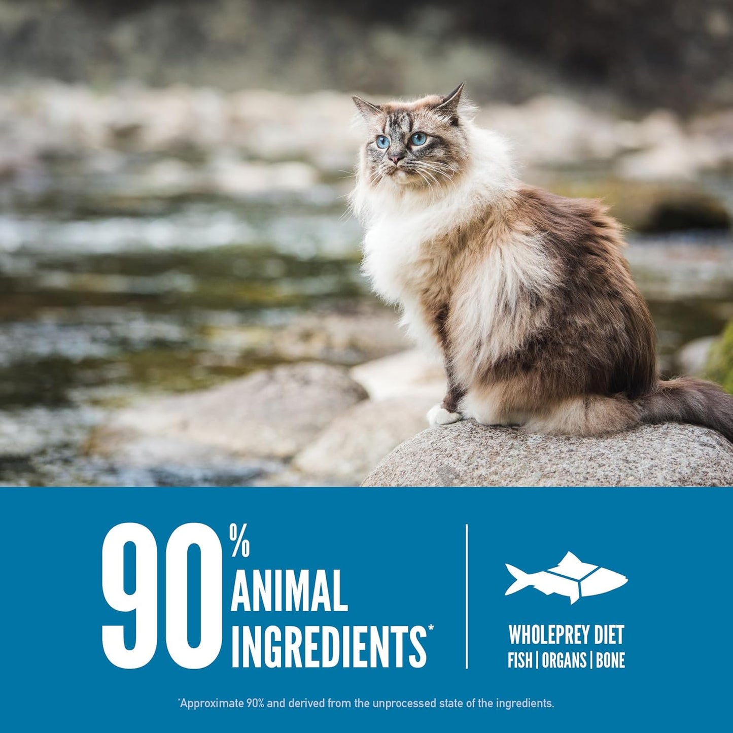 ORIJEN Grain Free High Protein Premium Dry Cat Food Six Fish Recipe 4lb Bag