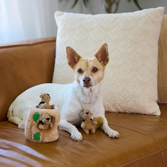Outward Hound Squeakin’ Squirrels – 3‑Pack Plush Squeaky Dog Toys - Image 5