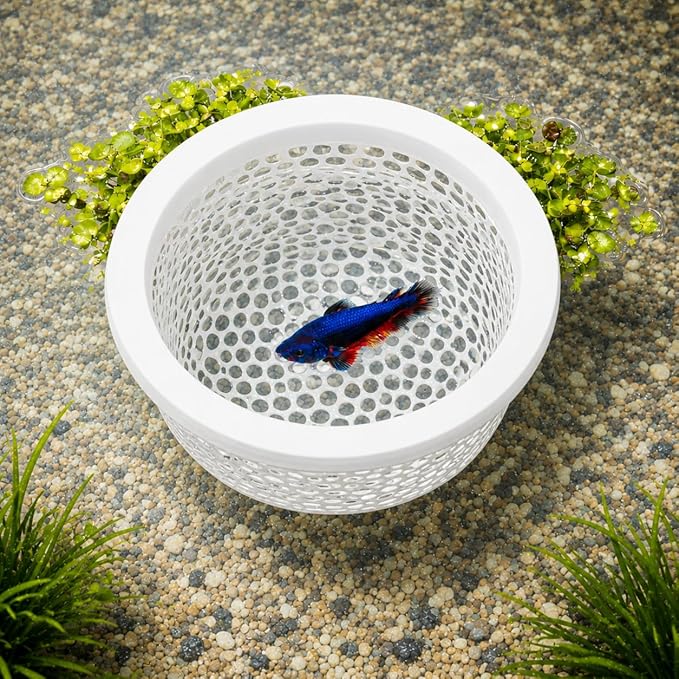 Floating Betta Fish Shrimp, Betta or Shrimp Feeder, Cave Hammock, Small Fish - Image 6