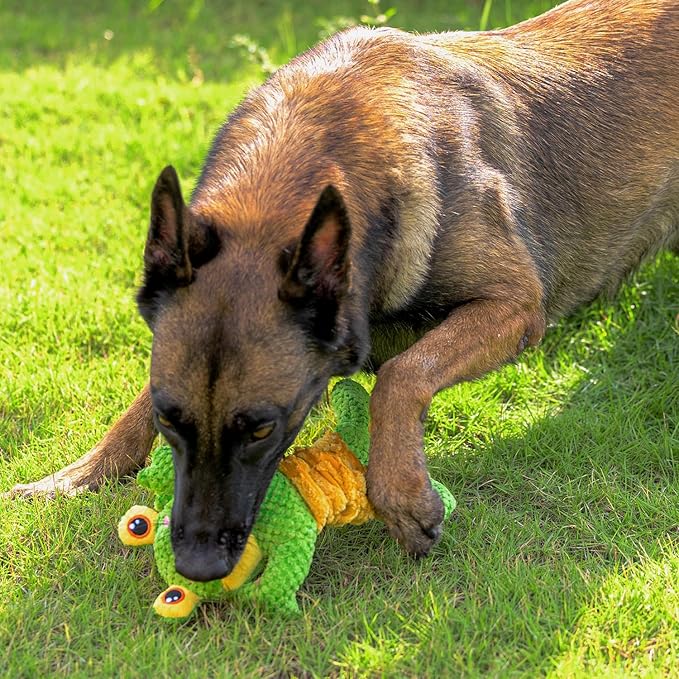 Sedioso Dog Tug Toy, Durable Dog Toys Large Breed, Tug of War Dog Squeaky Toy - Image 4