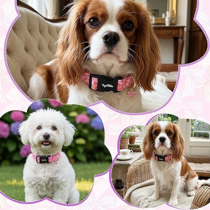 Cute Hot Pink Dog Collar with Bow Print, Spring Summer Puppy Collar with - Image 7