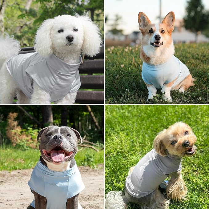 Spark Paws Sunblock Dog T-Shirt, SPF30 Protection, Lightweight Breathable Quick - Image 6