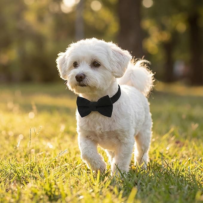 THAIN Dog Collar with Bow Tie Corduroy, Breathable&Adjustable Quick Release - Image 5
