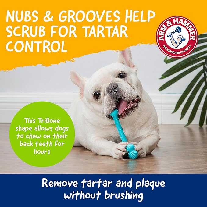 Arm & Hammer Nubbies T-Bone Dental Chew Toy Peanut Butter Flavor Textured Toy - Image 3