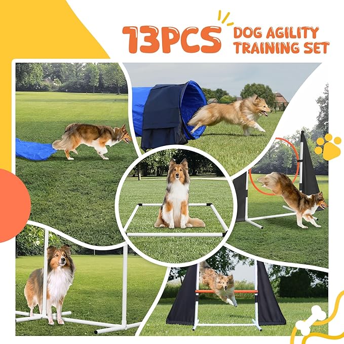 POPMOON Agility Training Equipment - Image 2