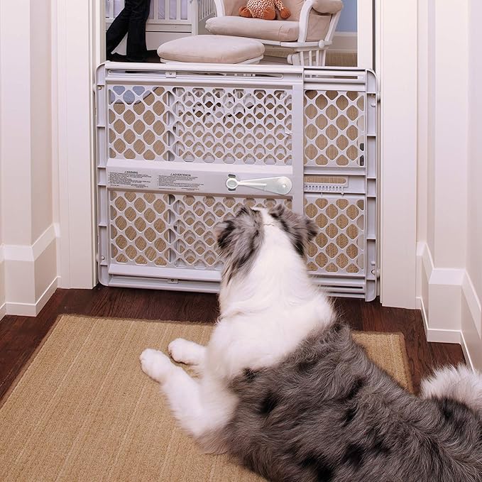Northern States Pet Gate - Image 5