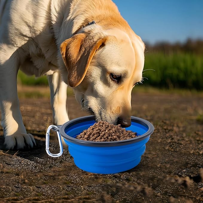 Dog Bowl Pet Collapsible Bowls, 2 Pack Collapsible Dog Water Bowls - Image 7