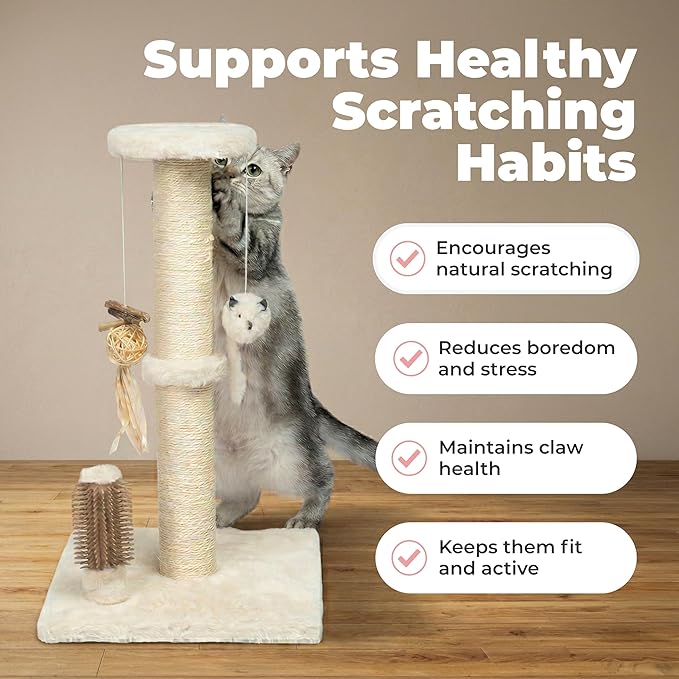 Best Pet Supplies Catify Cat Scratcher, Fun Interactive Scratchers, Claw Safe - Image 4