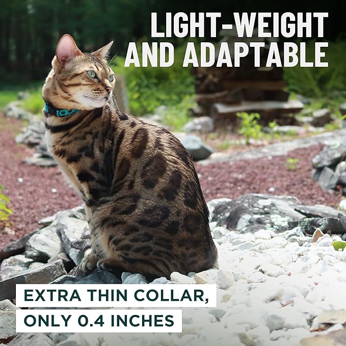 OutdoorBengal Red Cat Collar Breakaway - Image 6