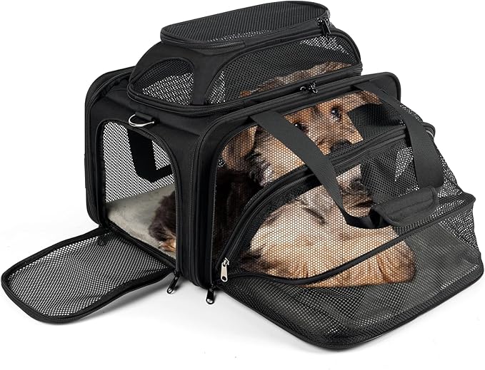 pidipiti top and 1 Side Expandable, TSA and American/Delta/United Airline by pidipiti