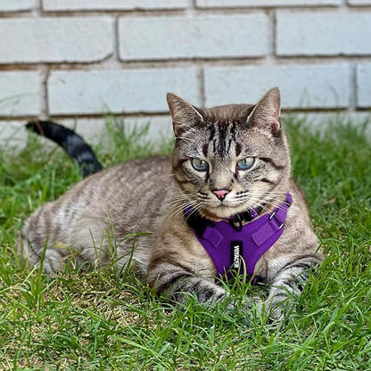 Voyager Escape-Proof Step-in Lock Cat Harness & 5ft Neoprene-Handle Leash Set - Image 6