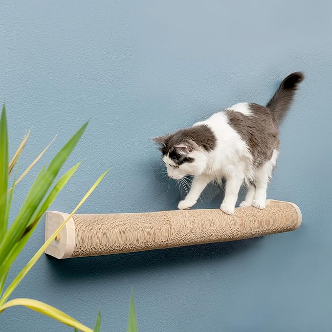 Floating Cat Shelf & Perch – Wall-Mounted Climbing Furniture - Image 3