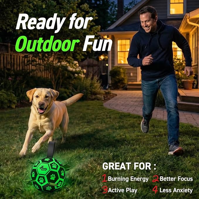QDAN Glow in The Dark Dog Toys Soccer Ball - Image 2