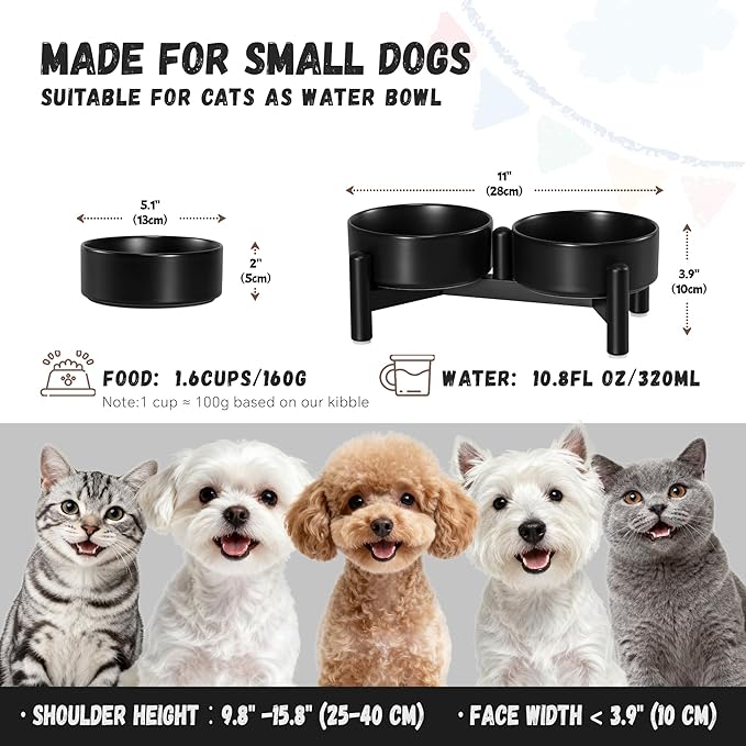 Raised Ceramic Dog Bowl Set - Image 2