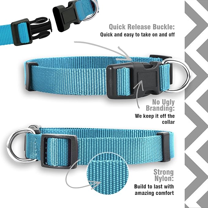 Native Pup Basic Nylon Dog Collar, Adjustable - Image 4
