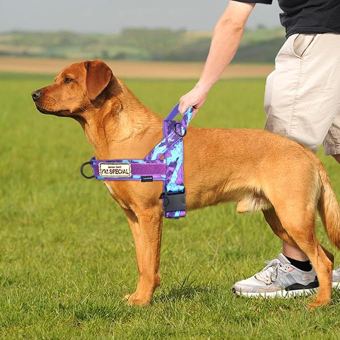 Annchwool No Pull Dog Harness - Image 5
