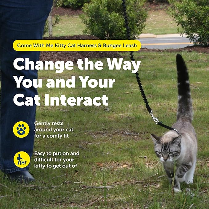 PetSafe Come with Me Kitty Harness and Bungee Leash - Image 5
